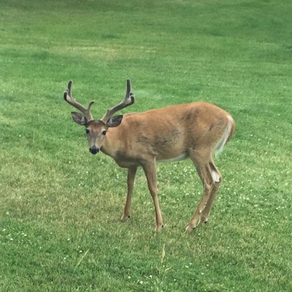 Meet your Posher, Tamara - Picture 9 of 13